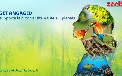 Cos’è la Biodiversità